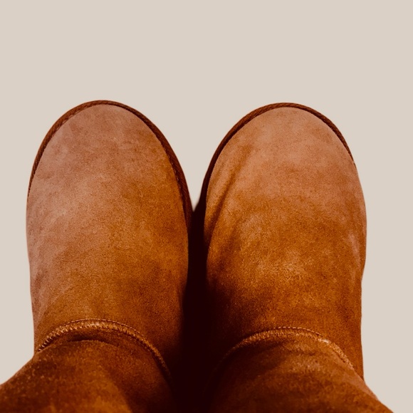 Emu Ridge Bronte Low Australian - Picture 8 of 8